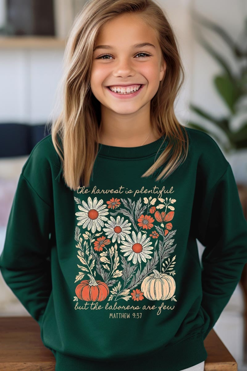 UL180B-E3173Z Faith Harvest Kids Graphic Sweatshirt $20