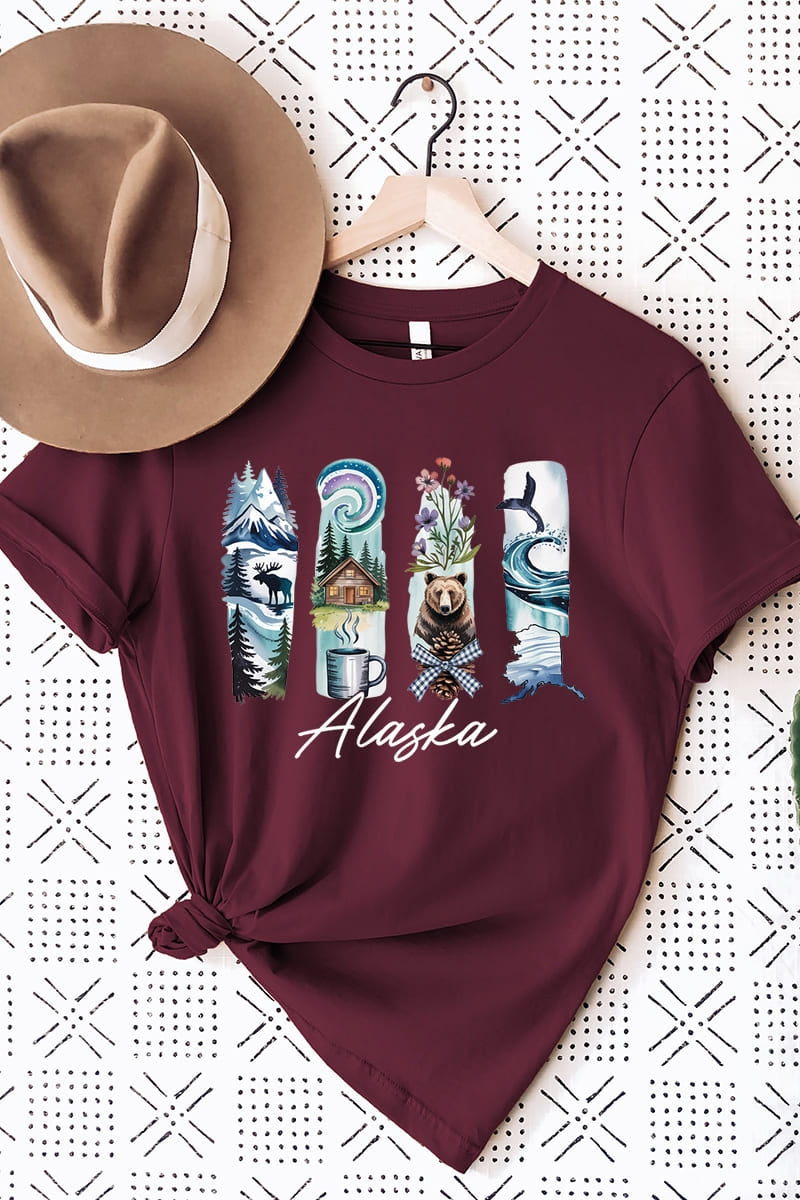 US3001P-E3061AK Alaska State Brushstroke Graphic Plus Tee $16