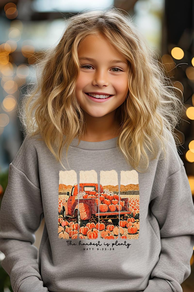 UL180B-E3172Z Harvest Is Plenty Kids Graphic Sweatshirt $20