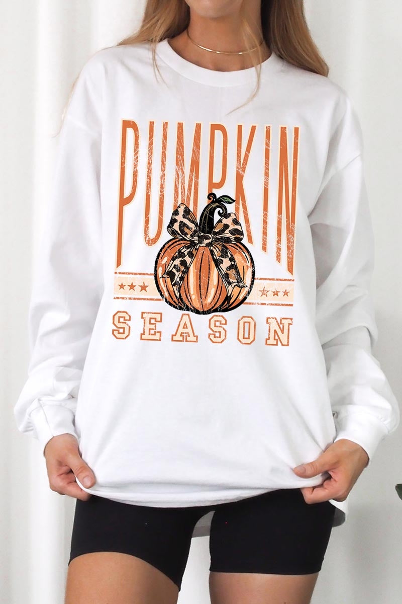 UL240P-E3145 Pumpkin Season Graphic Plus Long Sleeve Tee $17
