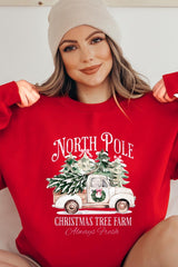 UL180-E3174 North Pole Christmas Graphic Sweatshirt $20