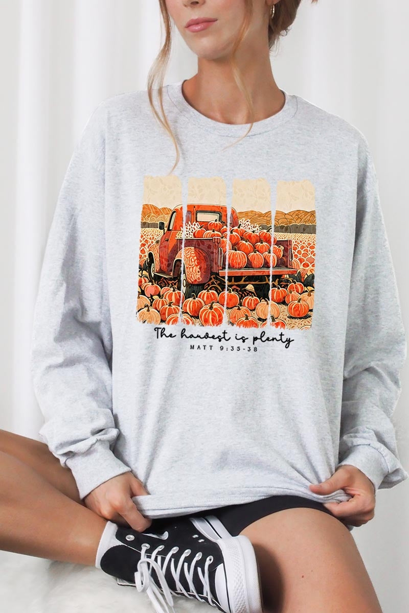 UL240-E3172 Harvest Is Plenty Graphic Long Sleeve Tee $13.75