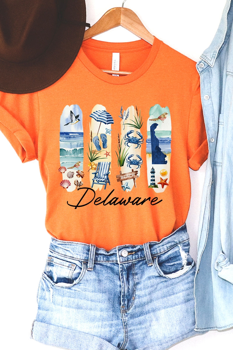 US3001P-E3061DE Delaware State Brushstroke Graphic Plus Tee $16