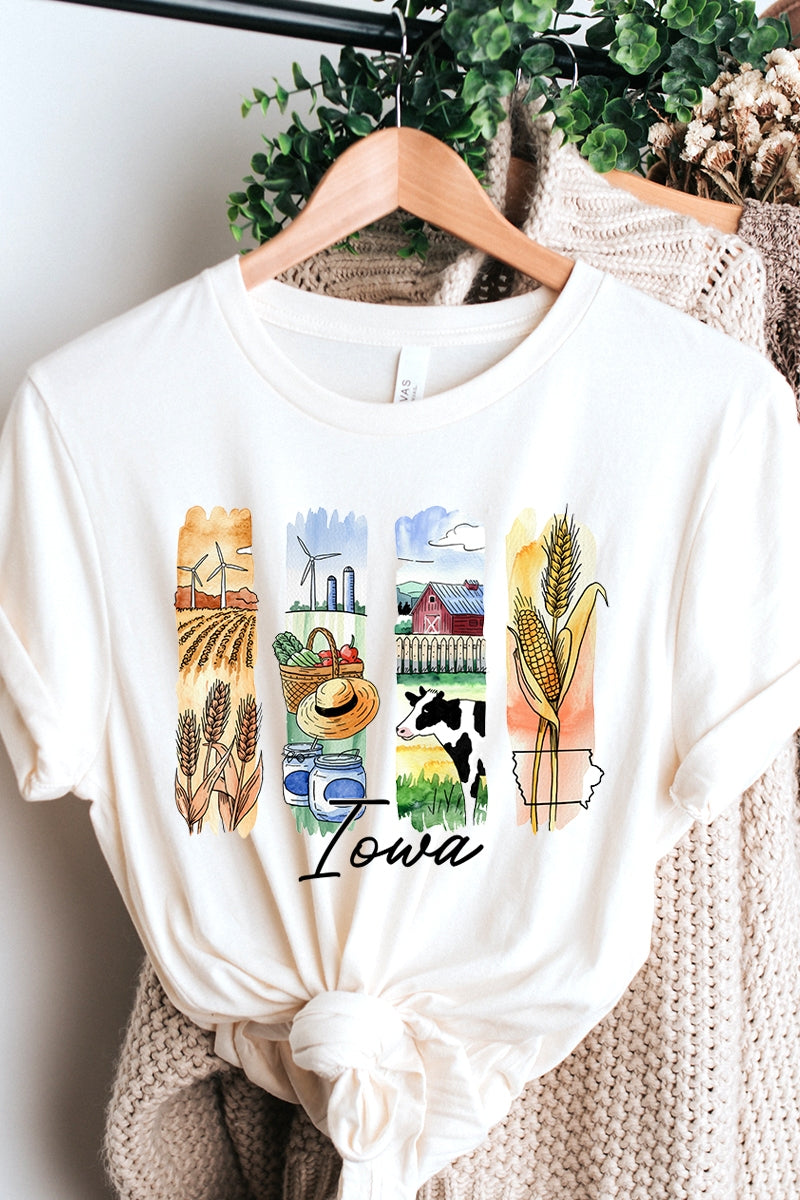 US3001P-E3061IA Iowa State Brushstroke Graphic Plus Tee $16