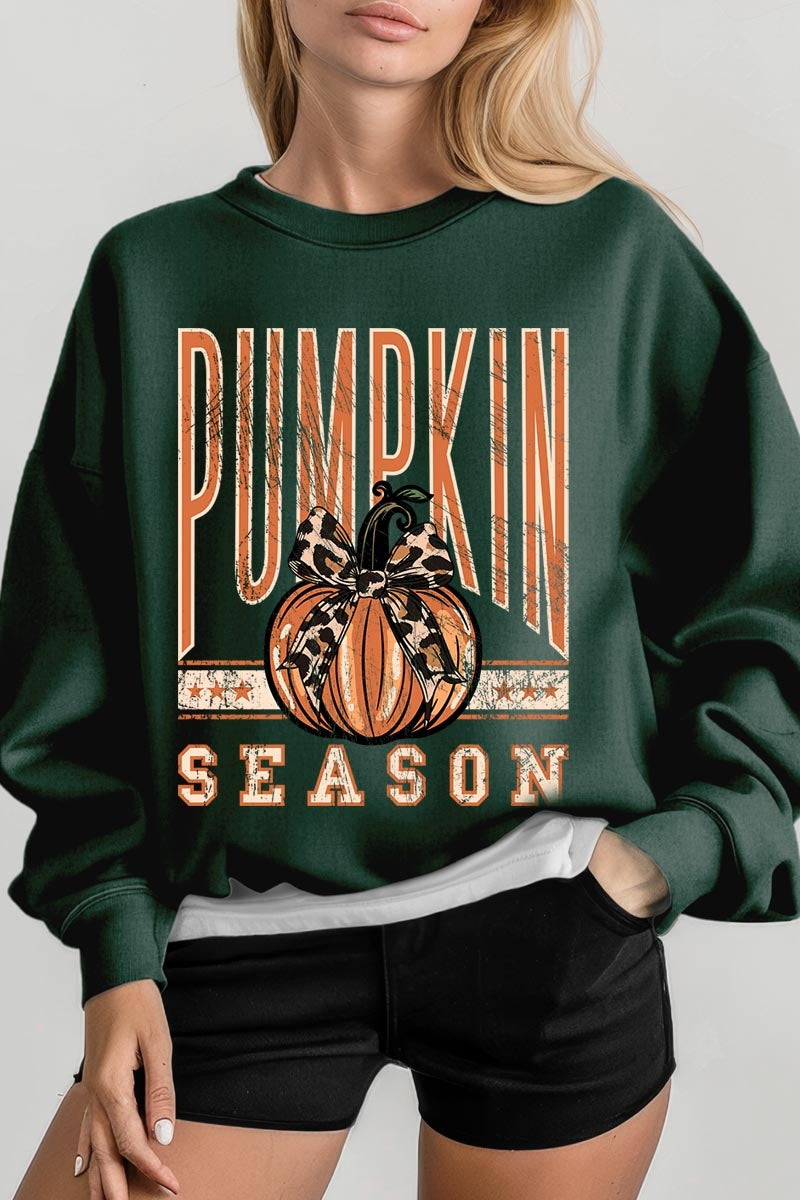 UL180-E3145 Pumpkin Season Graphic Sweatshirt $20