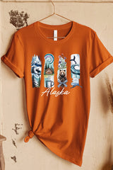 US3001P-E3061AK Alaska State Brushstroke Graphic Plus Tee $16