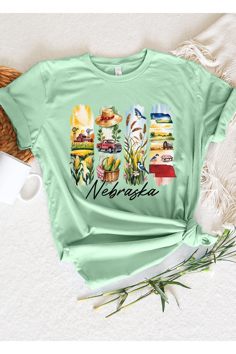 US3001-E3061NE Nebraska State Brushstroke Graphic Tee $12.5