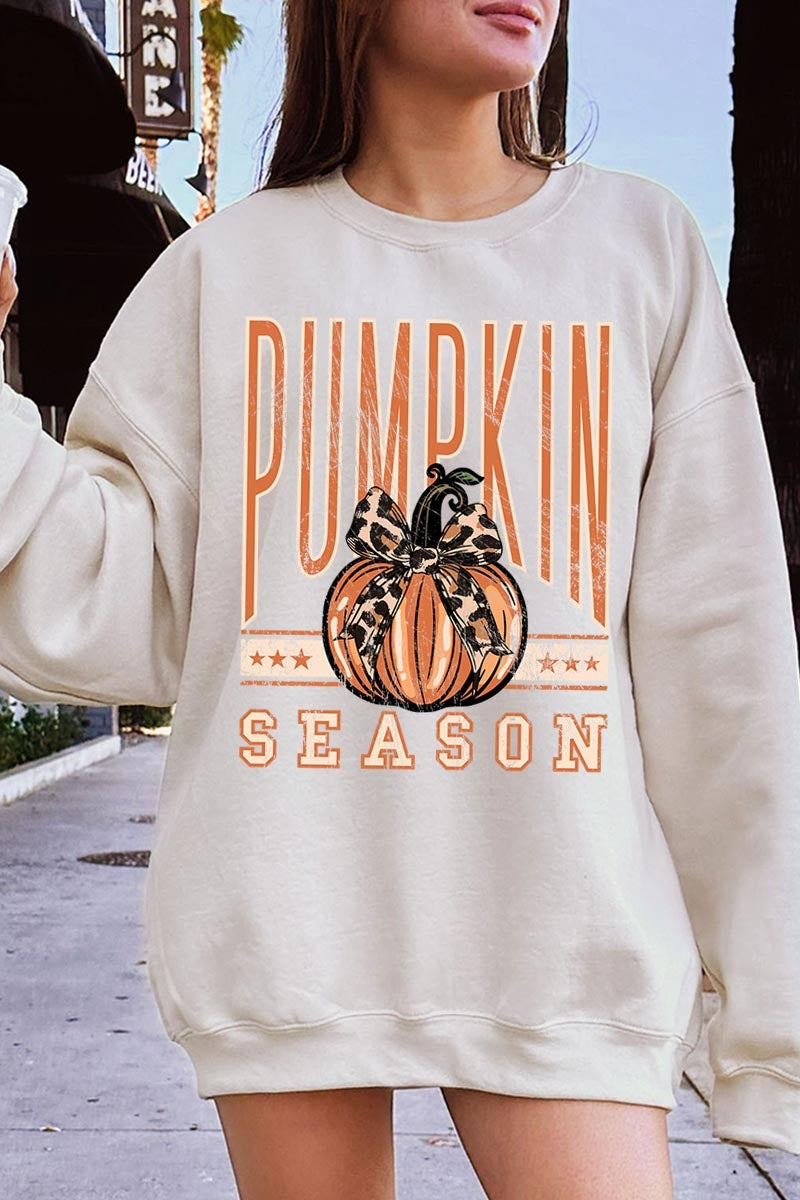 UL180-E3145 Pumpkin Season Graphic Sweatshirt $20