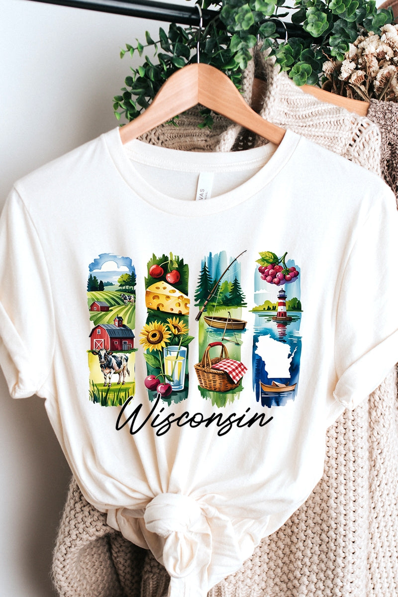 US3001-E3061WI Wisconsin State Brushstroke Graphic Tee $12.5