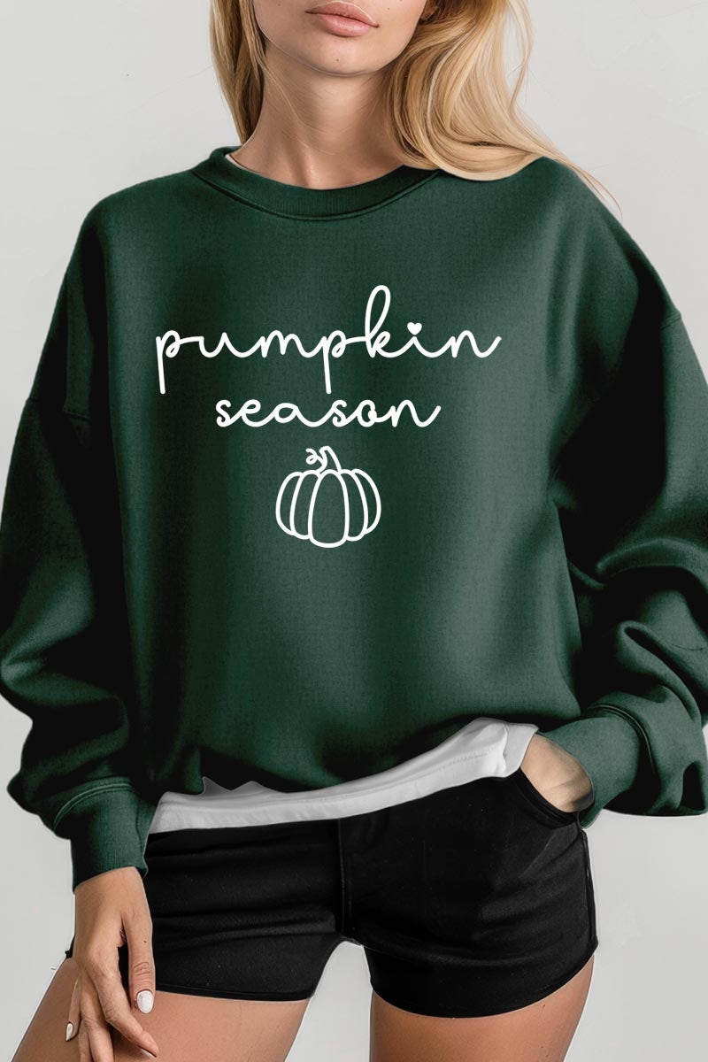 UL180-E3152 Pumpkin Season Graphic Sweatshirt $20