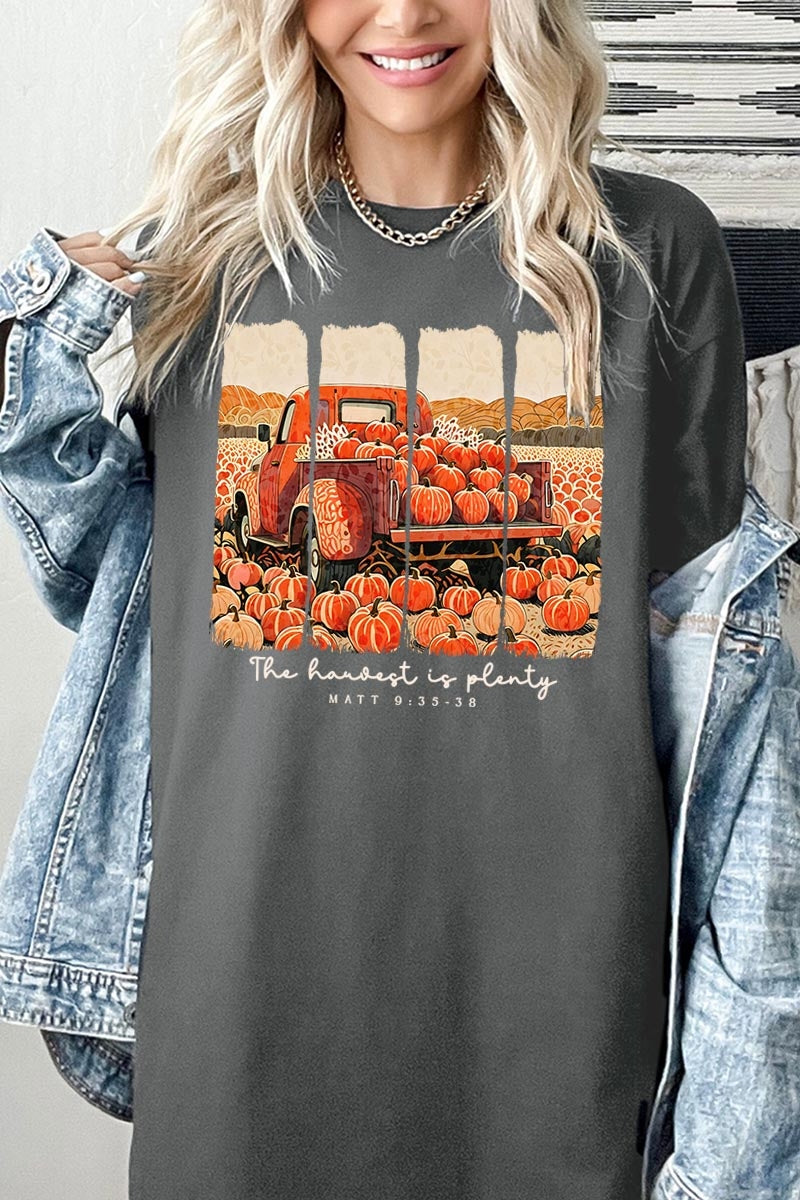 5000-E3172 Harvest Is Plenty Graphic Heavy Cotton Tee $9