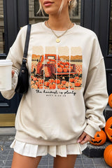 UL180P-E3172 Harvest Is Plenty Graphic Plus Sweatshirt $25