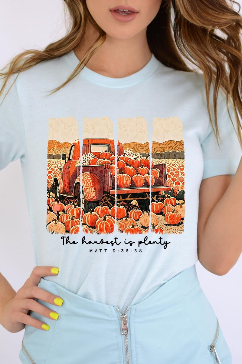 US3001P-E3172 Harvest Is Plenty Graphic Plus Tee $16