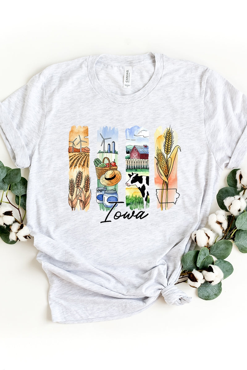 US3001-E3061IA Iowa State Brushstroke Graphic Tee $12.5