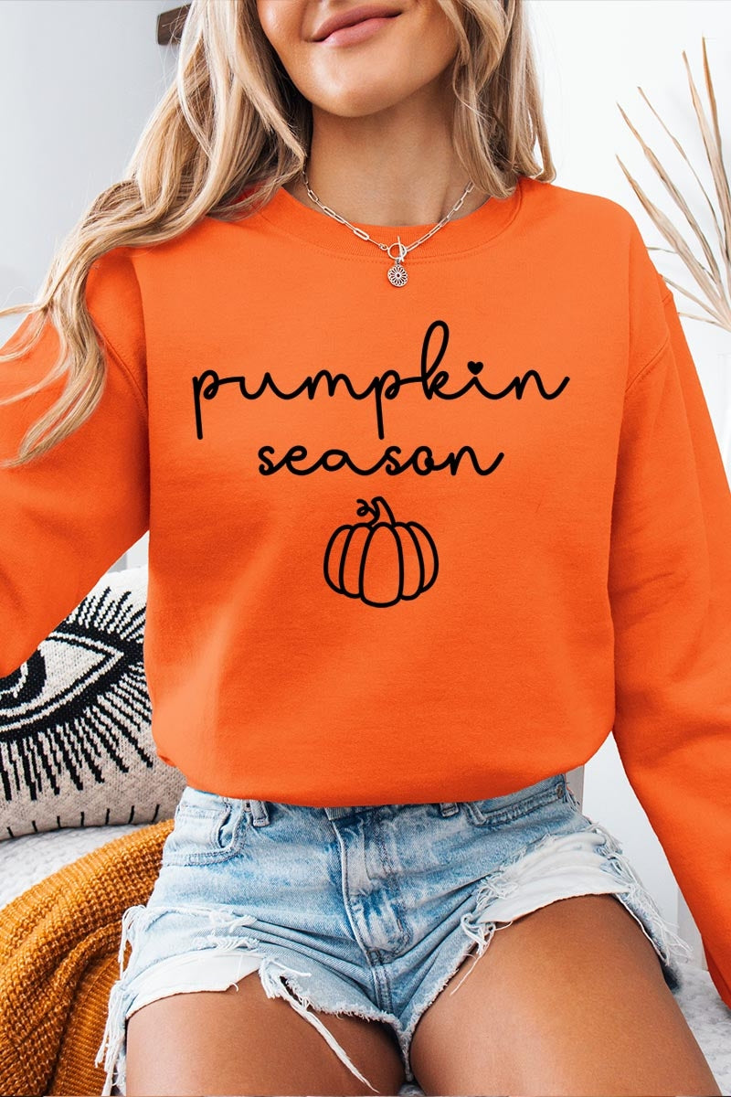 UL180P-E3152 Pumpkin Season Graphic Plus Sweatshirt $25