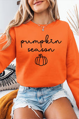 UL180-E3152 Pumpkin Season Graphic Sweatshirt $20
