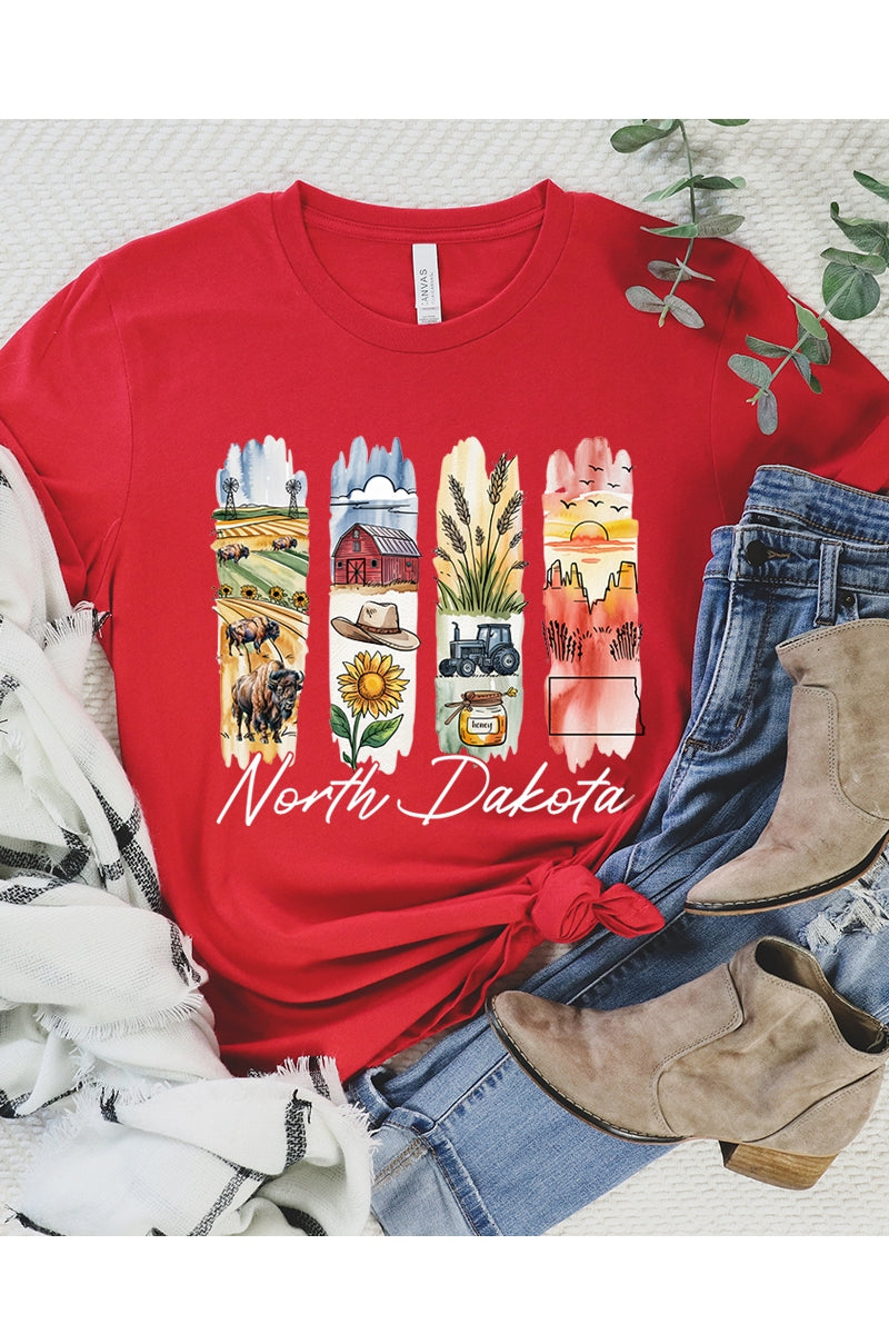 US3001-E3061ND North Dakota State Brushstroke Graphic Tee $12.5