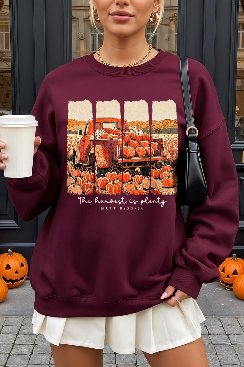 UL180-E3172 Harvest Is Plenty Graphic Sweatshirt $20