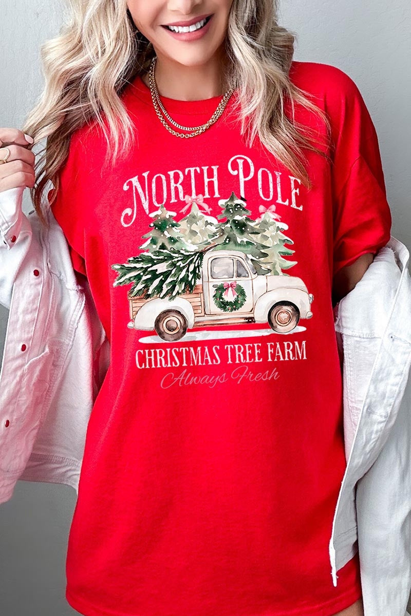 5000-E3174 North Pole Christmas Graphic Heavy Cotton Tee $9