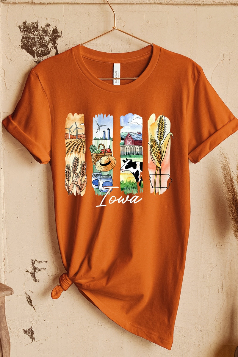 US3001-E3061IA Iowa State Brushstroke Graphic Tee $12.5