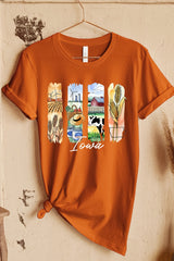 US3001-E3061IA Iowa State Brushstroke Graphic Tee $12.5