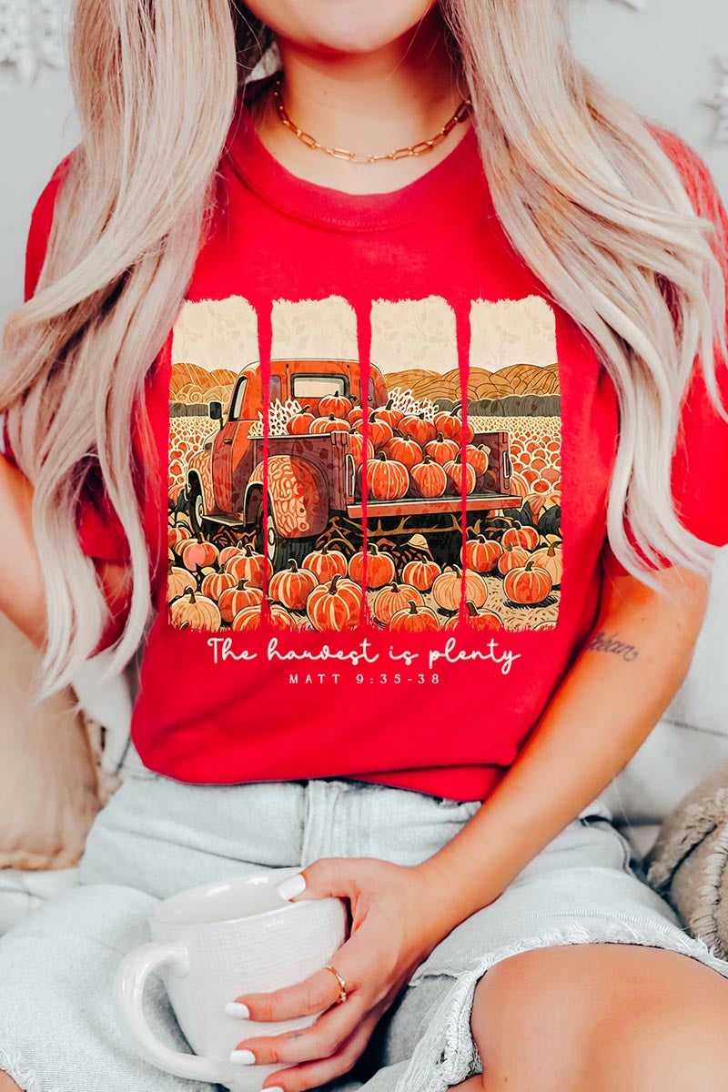 US3001P-E3172 Harvest Is Plenty Graphic Plus Tee $16