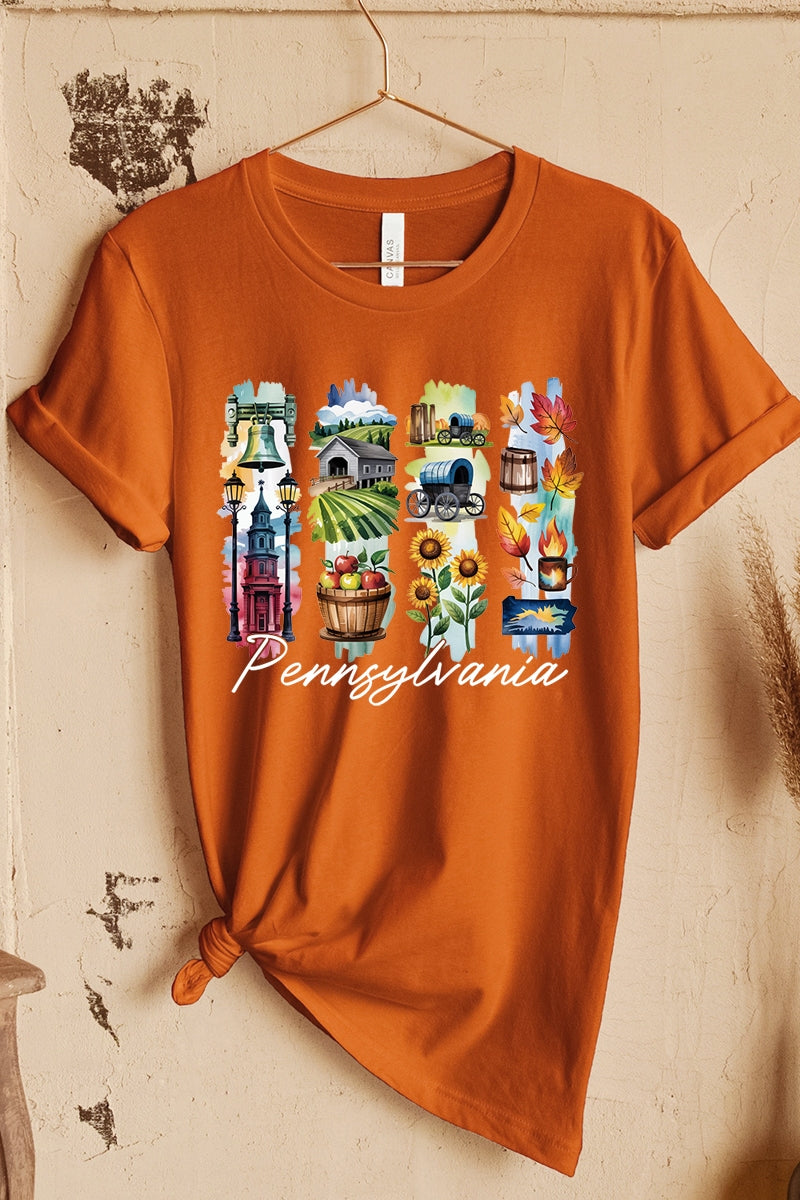 US3001P-E3061PA Pennsylvania State Brushstroke Graphic Plus Tee $16