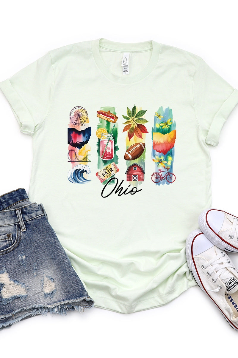 US3001P-E3061OH Ohio State Brushstroke Graphic Plus Tee $16