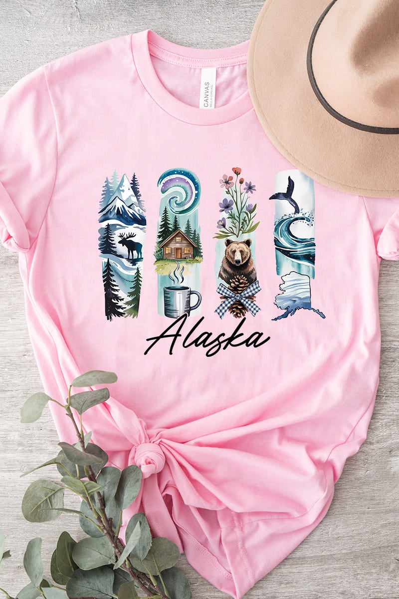 US3001P-E3061AK Alaska State Brushstroke Graphic Plus Tee $16