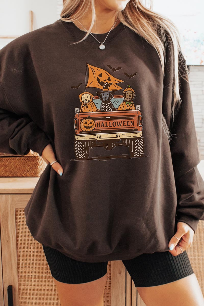 UL180-E3150 Halloween Truck Dogs Graphic Sweatshirt $20