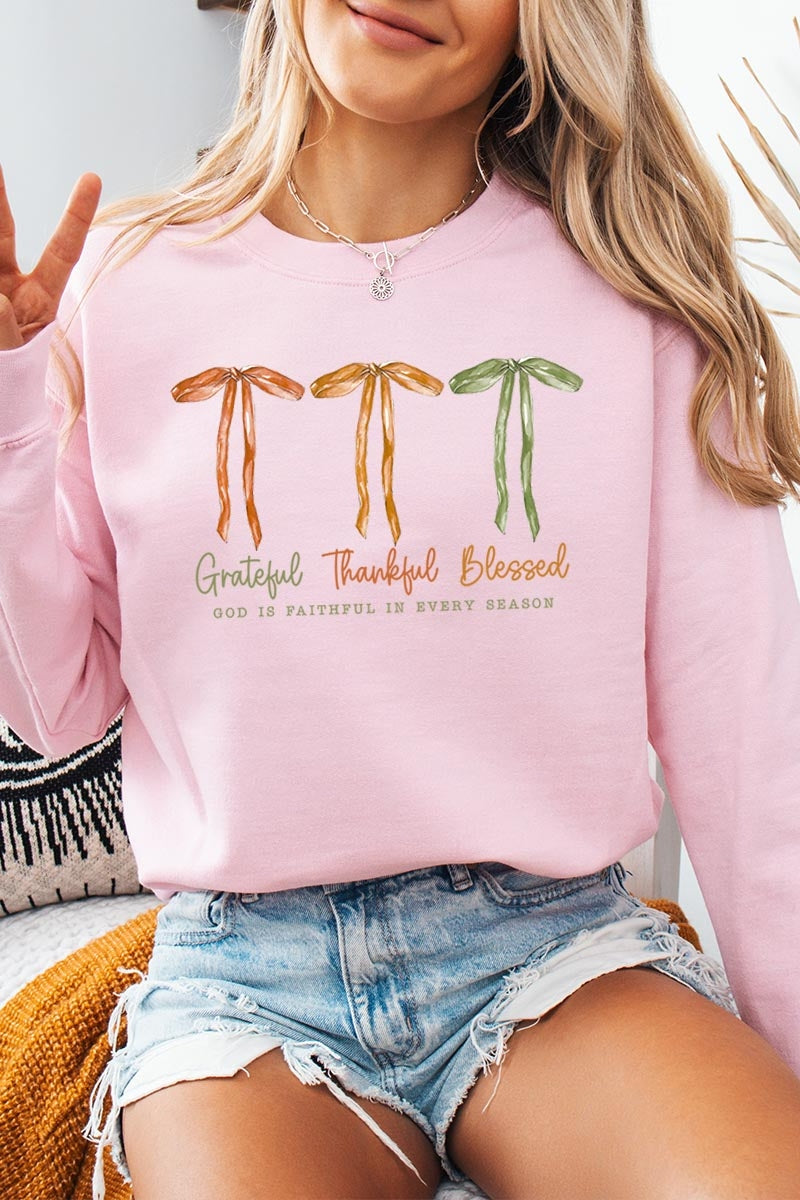 UL180-E3111 Grateful Thankful Blessed Graphic Sweatshirt $20