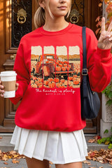 UL180-E3172 Harvest Is Plenty Graphic Sweatshirt $20