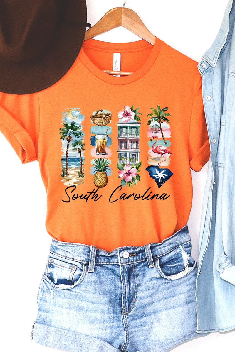 US3001P-E3061SC South Carolina State Brushstroke Graphic Plus Tee $16
