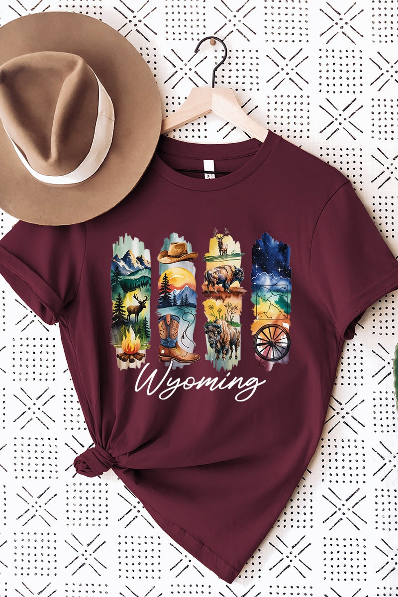 US3001P-E3061WY Wyoming State Brushstroke Graphic Plus Tee $16