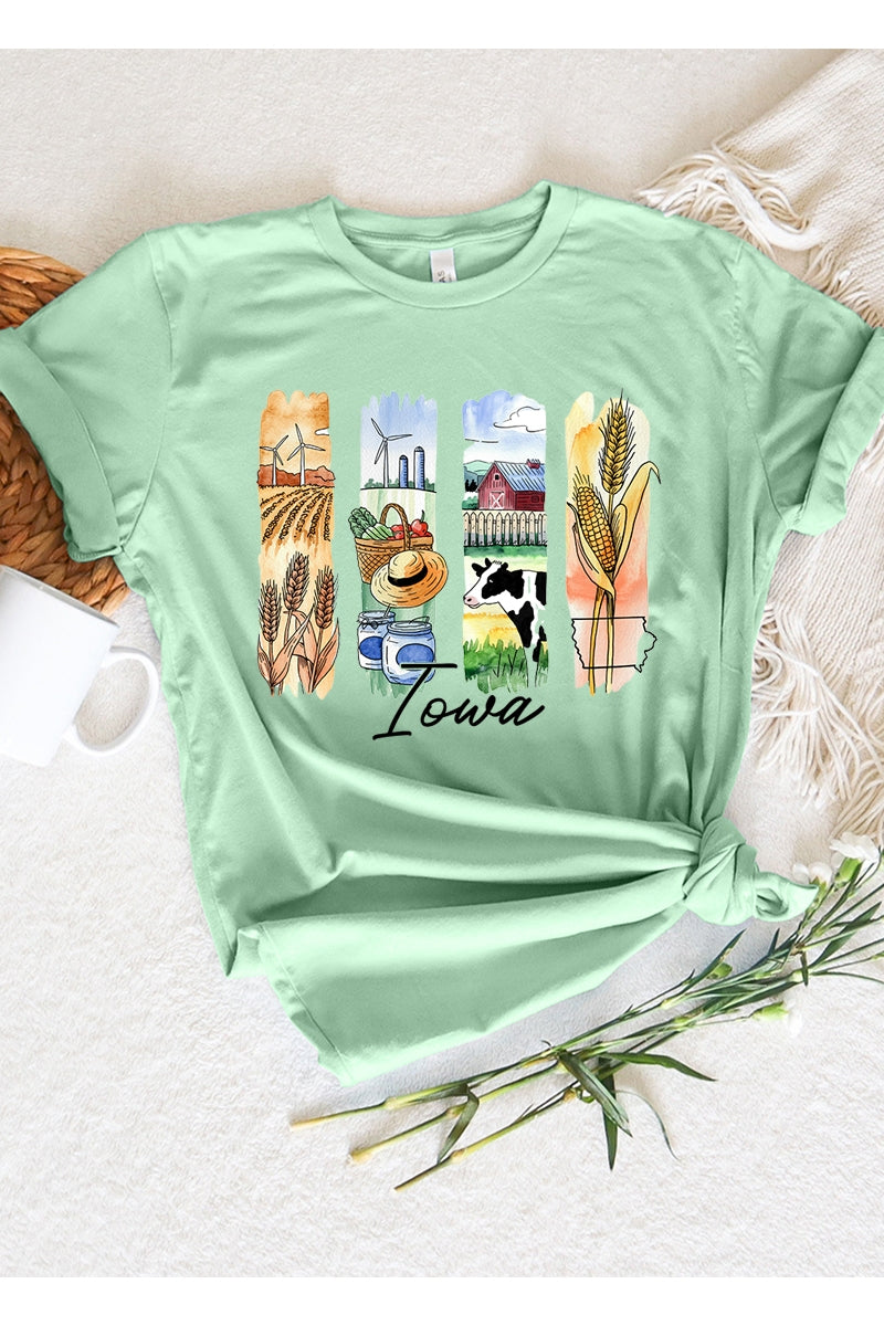 US3001-E3061IA Iowa State Brushstroke Graphic Tee $12.5