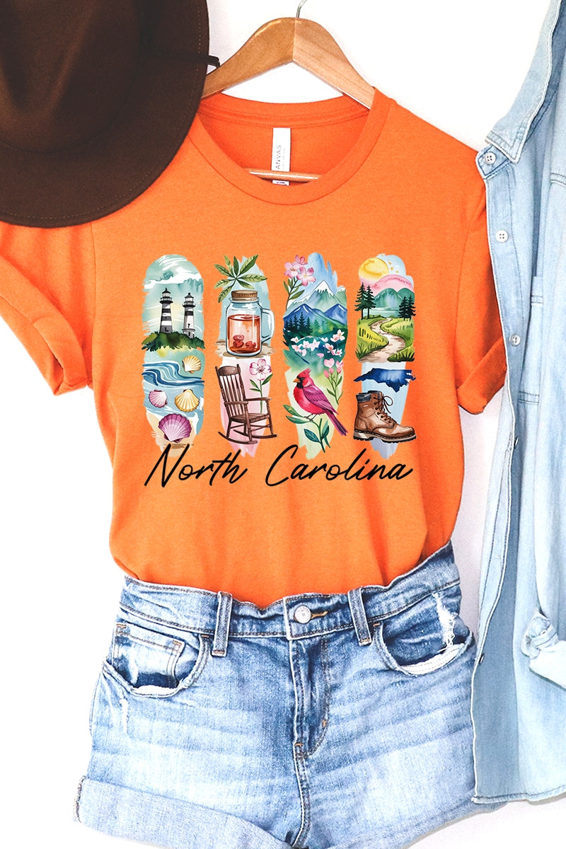 US3001P-E3061NC North Carolina State Brushstroke Graphic Plus Tee $16