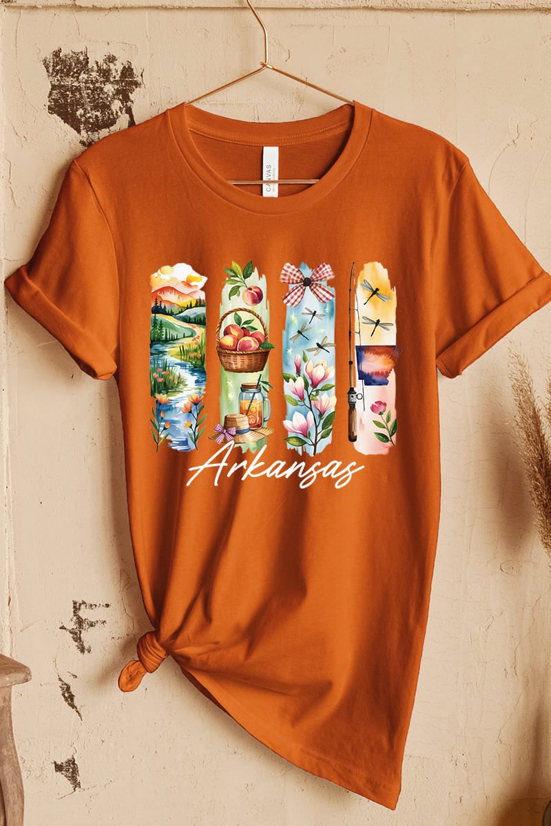 US3001P-E3061AR Arkansas State Brushstroke Graphic Plus Tee $16