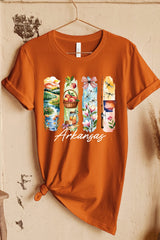 US3001P-E3061AR Arkansas State Brushstroke Graphic Plus Tee $16
