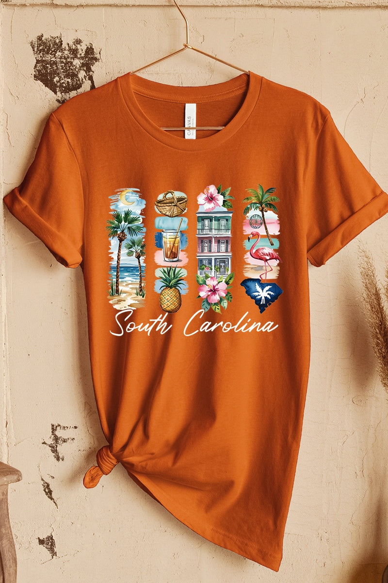 US3001P-E3061SC South Carolina State Brushstroke Graphic Plus Tee $16