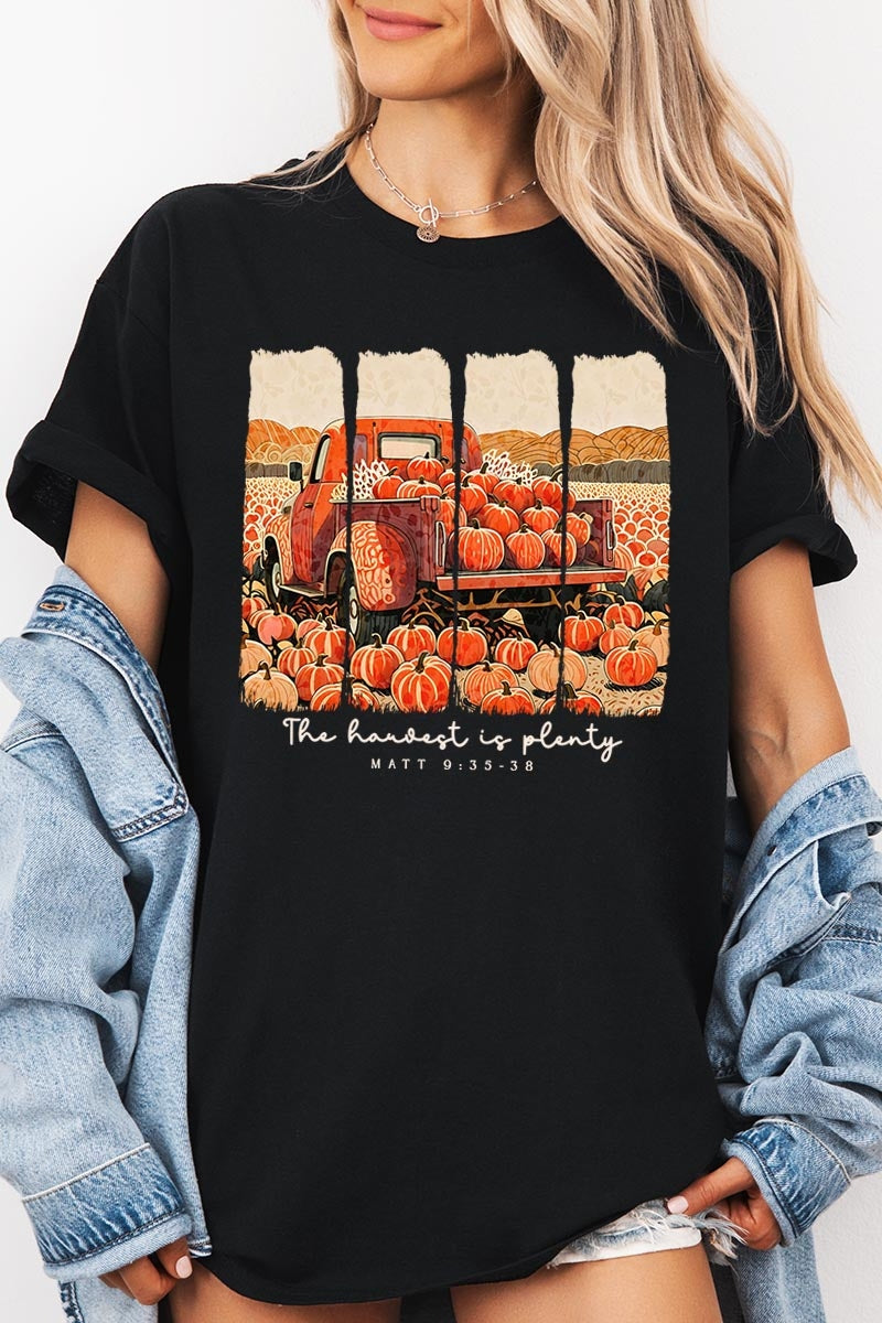 5000P-E3172 Harvest Is Plenty Graphic Plus Heavy Cotton Tee $12.75