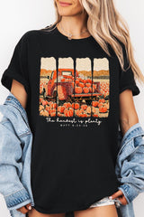 5000-E3172 Harvest Is Plenty Graphic Heavy Cotton Tee $9