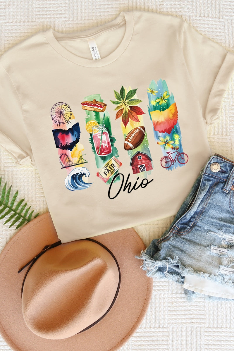 US3001P-E3061OH Ohio State Brushstroke Graphic Plus Tee $16