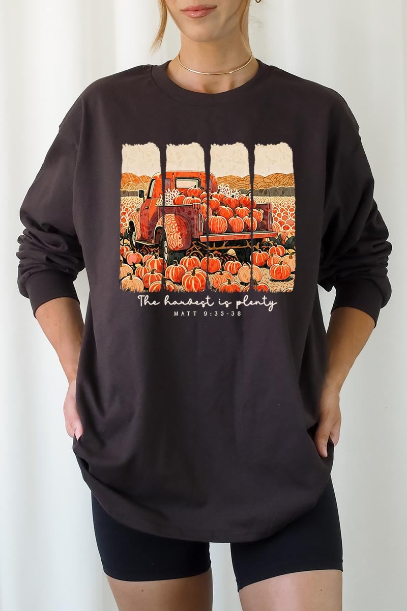 UL240P-E3172 Harvest Is Plenty Graphic Plus Long Sleeve Tee $17