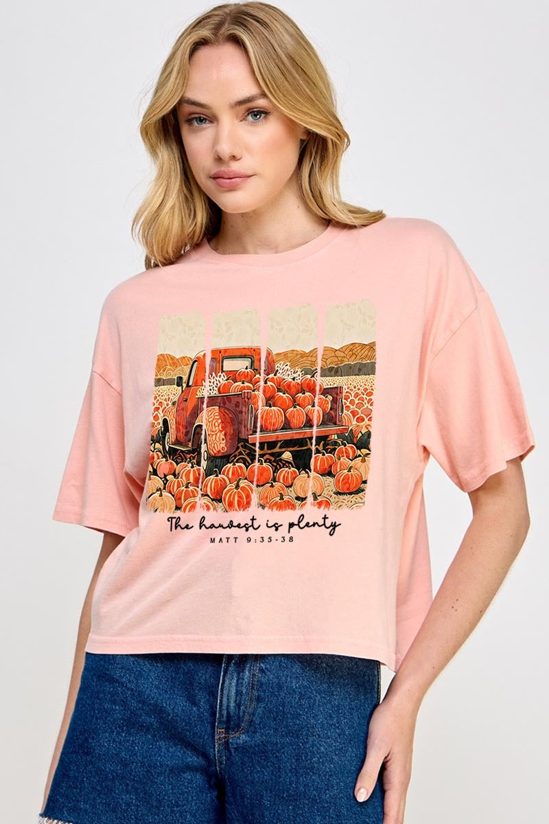 CTS-E3172 Harvest Is Plenty Graphic Relaxed Crop Top $11