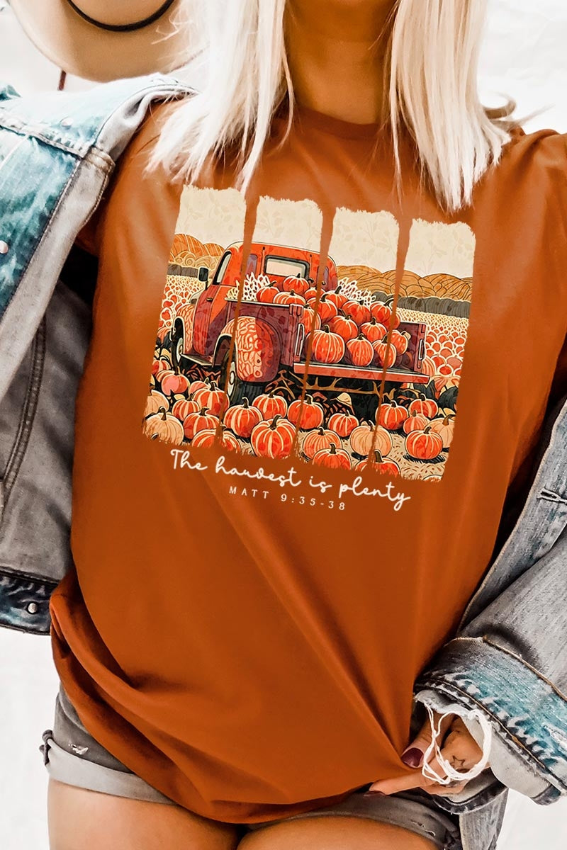 US3001P-E3172 Harvest Is Plenty Graphic Plus Tee $16