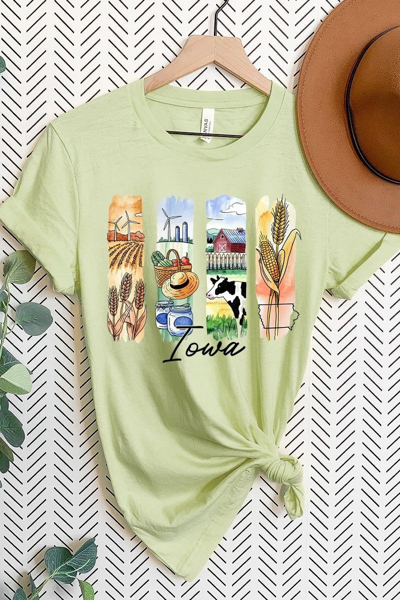US3001P-E3061IA Iowa State Brushstroke Graphic Plus Tee $16
