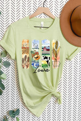 US3001P-E3061IA Iowa State Brushstroke Graphic Plus Tee $16