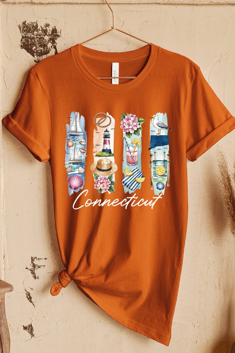 US3001P-E3061CT Connecticut State Brushstroke Graphic Plus Tee $16