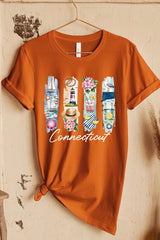 US3001P-E3061CT Connecticut State Brushstroke Graphic Plus Tee $16
