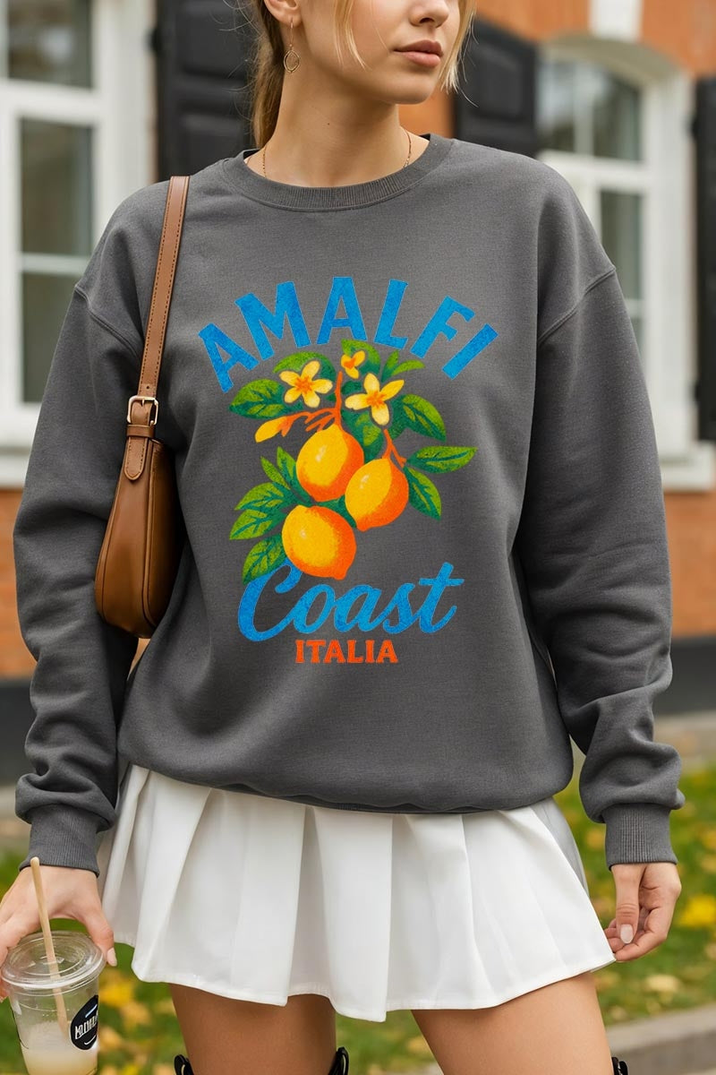 UL180-E3470 America 250 Gingham Graphic Sweatshirt $20